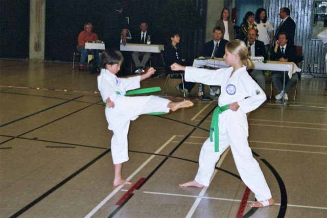bm_taekwondo_lauingen_11_05__3_.jpg