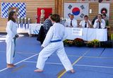 Bayerische_Taekwondo_Meisterschaft_Hausham_031.jpg
