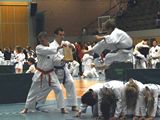 TKD_Meisterschaft_Vilsbiburg_14.jpg