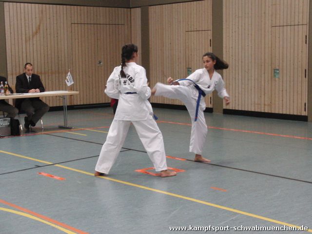 TKD_Heidenheim_2013_11_09_17.jpg