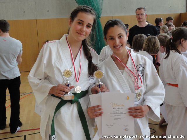 8_Allkampf_Jitsu_Landkreismeisterschaft_2014_14.jpg