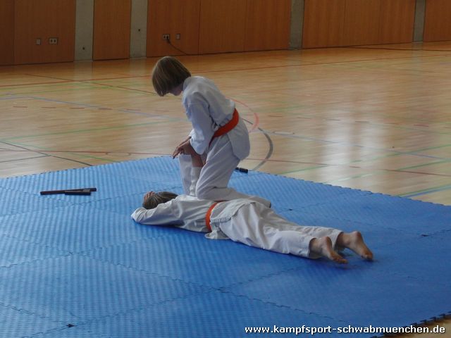 8_Allkampf_Jitsu_Landkreismeisterschaft_2014_21.jpg