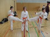 8_Allkampf_Jitsu_Landkreismeisterschaft_2014_16.jpg