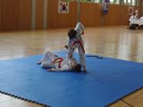 8_Allkampf_Jitsu_Landkreismeisterschaft_2014_19.jpg