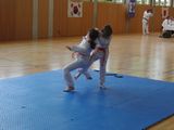 8_Allkampf_Jitsu_Landkreismeisterschaft_2014_20.jpg