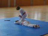 8_Allkampf_Jitsu_Landkreismeisterschaft_2014_21.jpg