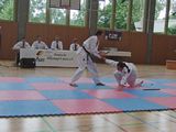 8_Allkampf_Jitsu_Landkreismeisterschaft_2014_25.jpg