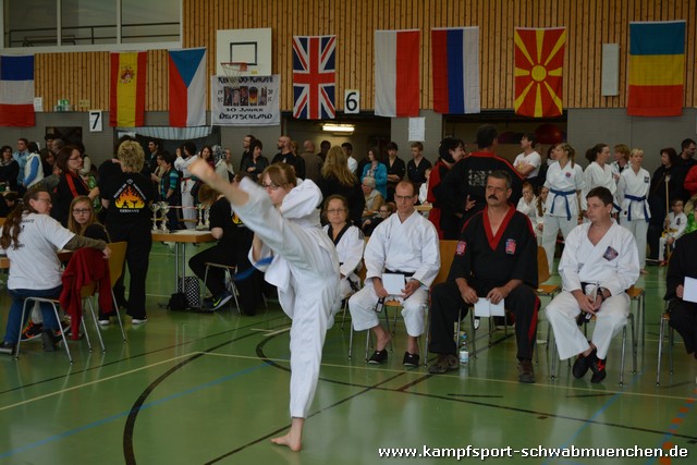 IDM_TKD_Giebelstadt_2015_09.jpg