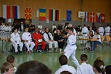 IDM_TKD_Giebelstadt_2015_06.jpg