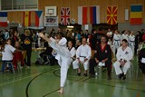 IDM_TKD_Giebelstadt_2015_09.jpg