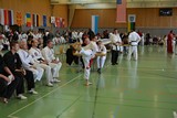 IDM_TKD_Giebelstadt_2015_11.jpg