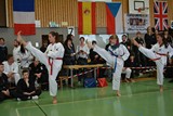 IDM_TKD_Giebelstadt_2015_18.jpg