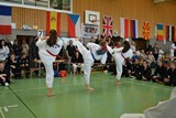 IDM_TKD_Giebelstadt_2015_19.jpg