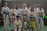 IDM_TKD_Giebelstadt_2015_23.jpg