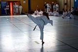 German_Martial_Arts_Bad_Kissingen_2015_04.jpg