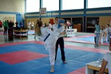 German_Martial_Arts_Bad_Kissingen_2015_07.jpg