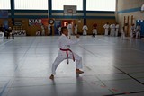 German_Martial_Arts_Bad_Kissingen_2015_13.jpg