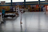 German_Martial_Arts_Bad_Kissingen_2015_15.jpg