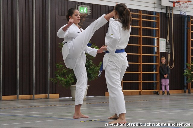 Taekwondomeisterschaft_Lauingen_11_2015_017.jpg