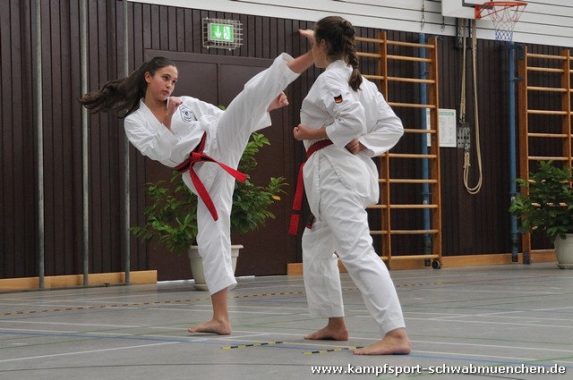 Taekwondomeisterschaft_Lauingen_11_2015_023.jpg