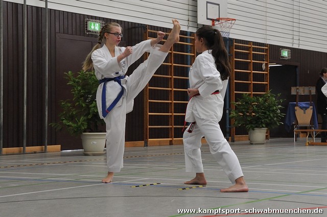 Taekwondomeisterschaft_Lauingen_11_2015_029.jpg