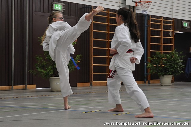 Taekwondomeisterschaft_Lauingen_11_2015_031.jpg