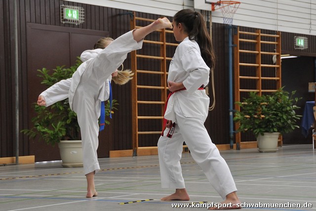 Taekwondomeisterschaft_Lauingen_11_2015_032.jpg
