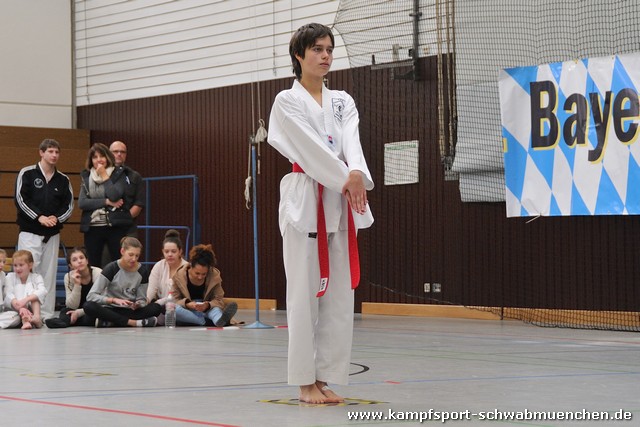 Taekwondomeisterschaft_Lauingen_11_2015_045.jpg
