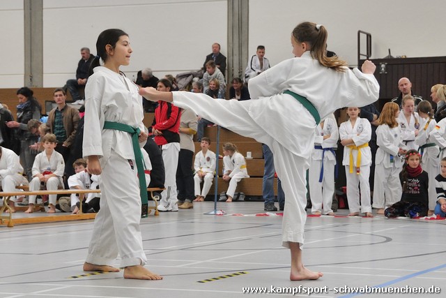 Taekwondomeisterschaft_Lauingen_11_2015_058.jpg