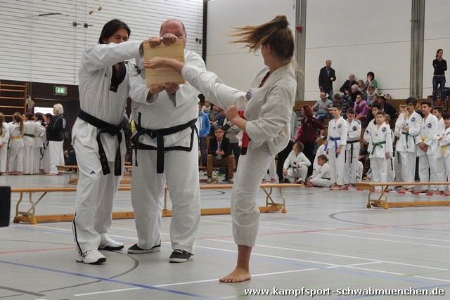 Taekwondomeisterschaft_Lauingen_11_2015_062.jpg