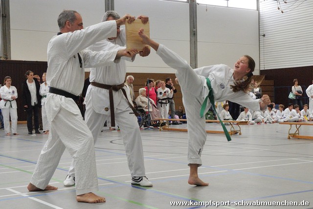 Taekwondomeisterschaft_Lauingen_11_2015_064.jpg