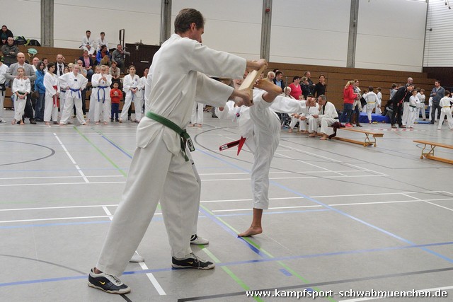 Taekwondomeisterschaft_Lauingen_11_2015_069.jpg