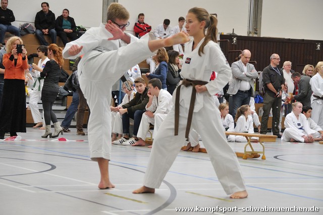 Taekwondomeisterschaft_Lauingen_11_2015_076.jpg