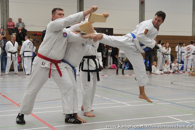 Taekwondomeisterschaft_Lauingen_11_2015_081.jpg