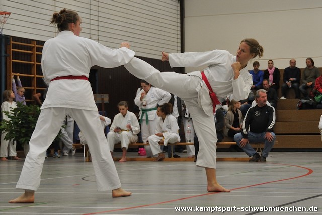 Taekwondomeisterschaft_Lauingen_11_2015_106.jpg