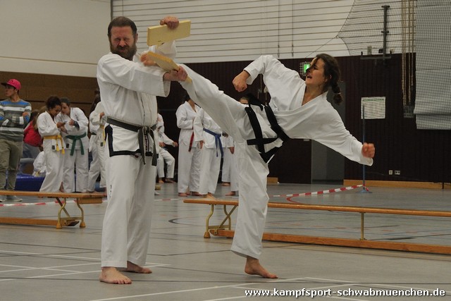 Taekwondomeisterschaft_Lauingen_11_2015_108.jpg