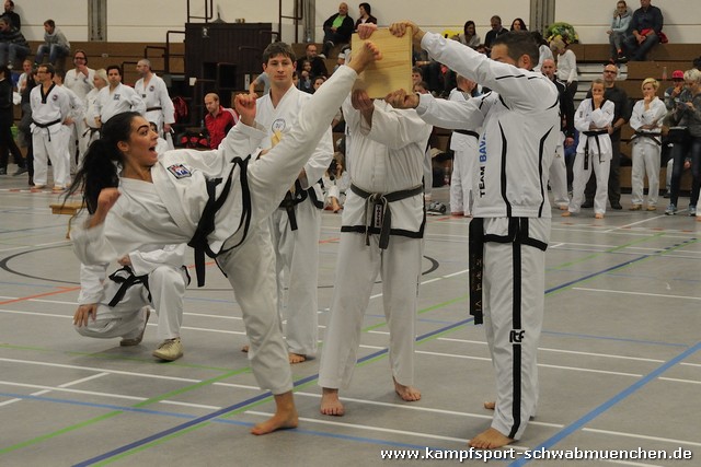 Taekwondomeisterschaft_Lauingen_11_2015_113.jpg