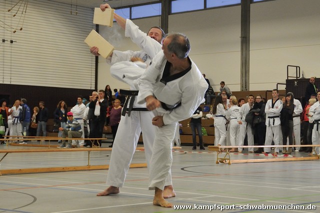 Taekwondomeisterschaft_Lauingen_11_2015_117.jpg