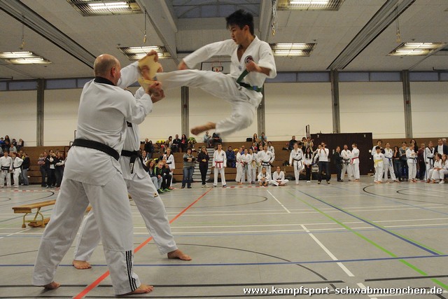 Taekwondomeisterschaft_Lauingen_11_2015_120.jpg