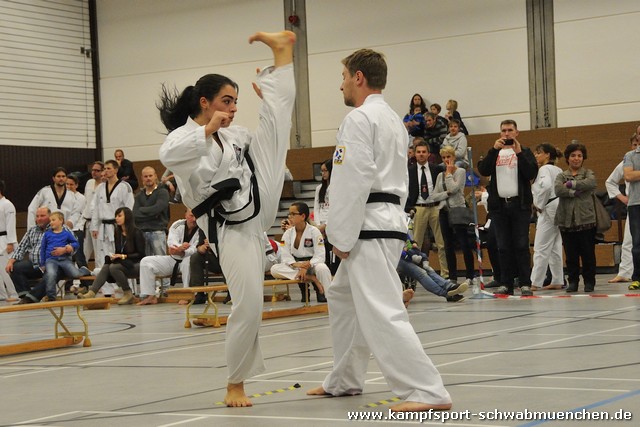 Taekwondomeisterschaft_Lauingen_11_2015_125.jpg