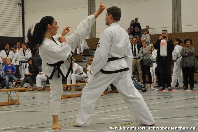 Taekwondomeisterschaft_Lauingen_11_2015_126.jpg