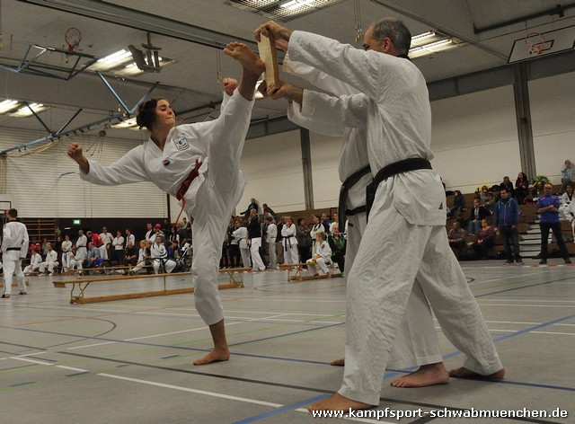 Taekwondomeisterschaft_Lauingen_11_2015_127.jpg