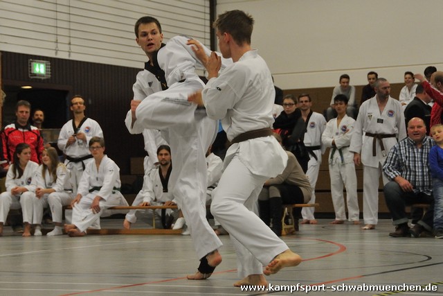 Taekwondomeisterschaft_Lauingen_11_2015_131.jpg