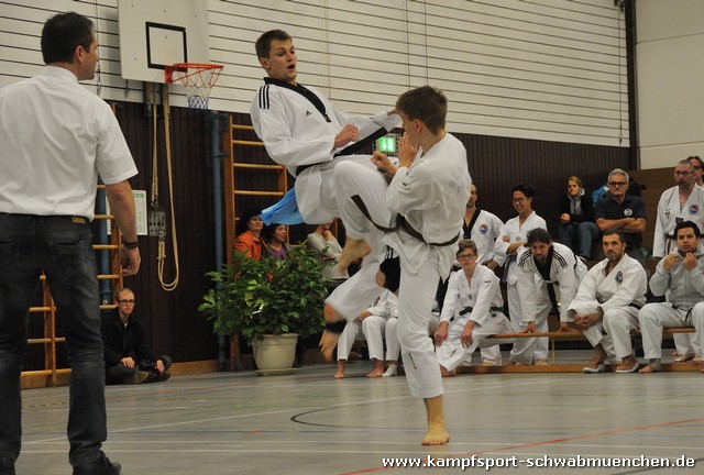 Taekwondomeisterschaft_Lauingen_11_2015_134.jpg