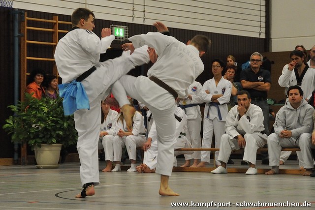 Taekwondomeisterschaft_Lauingen_11_2015_136.jpg