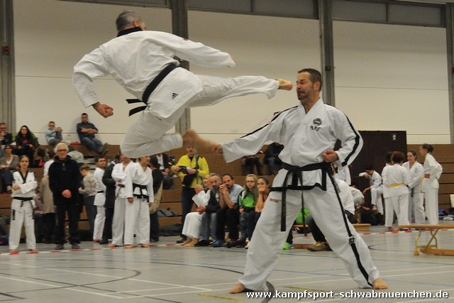 Taekwondomeisterschaft_Lauingen_11_2015_138.jpg