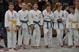 Taekwondomeisterschaft_Lauingen_11_2015_015.jpg