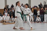 Taekwondomeisterschaft_Lauingen_11_2015_051.jpg