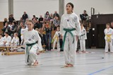 Taekwondomeisterschaft_Lauingen_11_2015_052.jpg