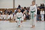 Taekwondomeisterschaft_Lauingen_11_2015_059.jpg